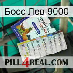 Босс Лев 9000 11